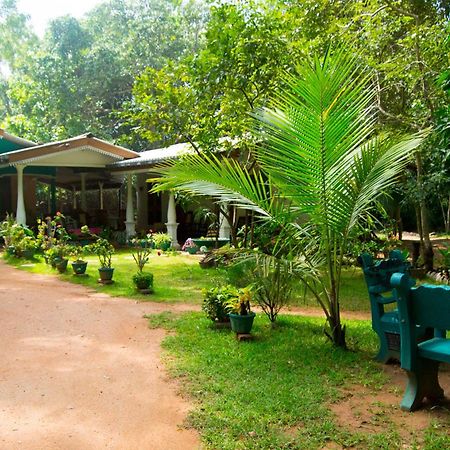 Sigiri Lodge Σιγκιρίγια Εξωτερικό φωτογραφία
